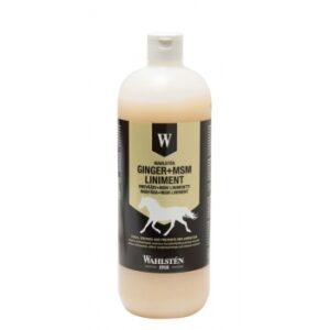 W-Ginger + MSM liniment 1L