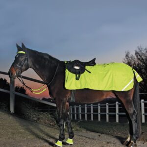 Trennitekk Reflex Waldhausen