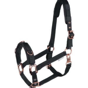 Rose Gold kordepäitsed Waldhausen