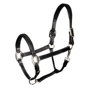Harryś Horse pehmendusega nahast päitsed