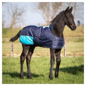 Harryś horse õuetekk varsale TwoTone 200g.