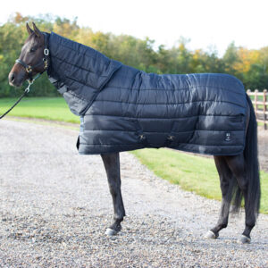 KINGSLAND Classic Primary eemaldatava kaelaosaga tallitekk 500g.
