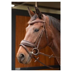 Harryś Horse valjad Bombastic