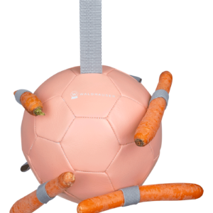 Waldhausen hobuse mängupall