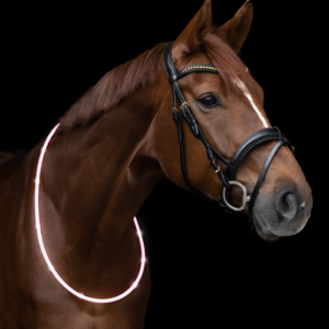 Waldhausen LED helkur
