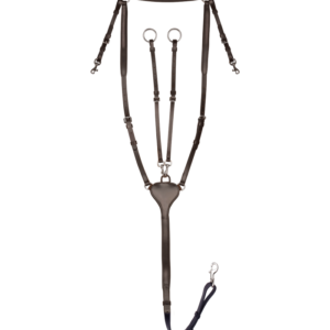 Waldhausen rinnarihmaga martingal  X-line Professional