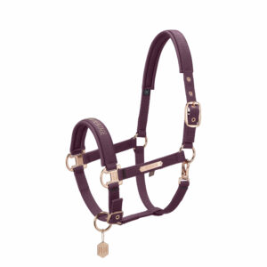 Eskadron päitsed Pin Buckle