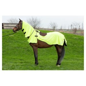 Harrys Horse helkuriga trennitekk