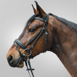 Waldhausen valjad Diamond Star