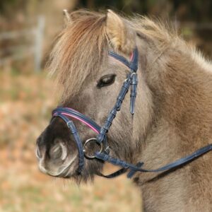 Waldhausen poni valjad Unicorn