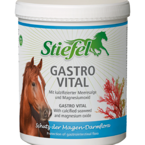 Stiefel söödalisand Gastro Vital seedimisele