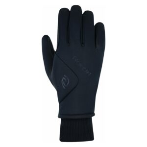 Roeckl talvised kindad Wila GTX