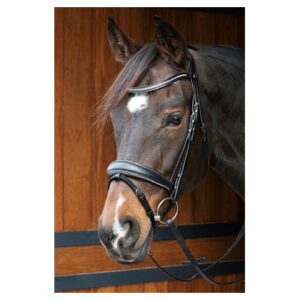 Harryś Horse valjad Petit Crystal