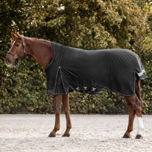 Scandic poolkaelaga vihmatekk 1200D - Waldhausen