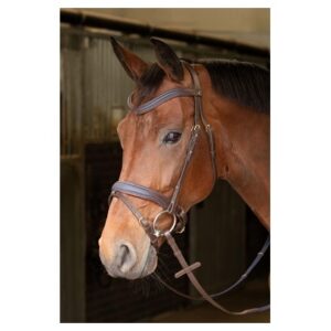 Harryś Horse valjad Havanna Navy