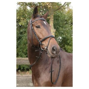 Harryś Horse valjad Bronze