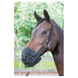 Harryś Horse suukorv Air