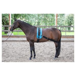 Harryś Horse kummilint tagaosa treenimiseks