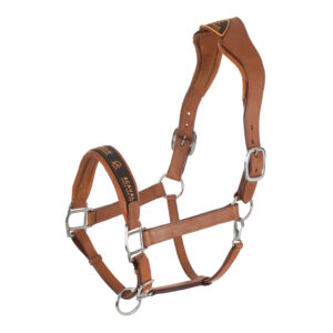 Acavallo päitsed Ergonomic